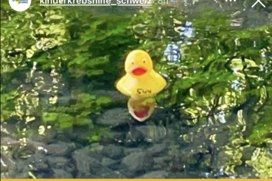 IMG_1863.png