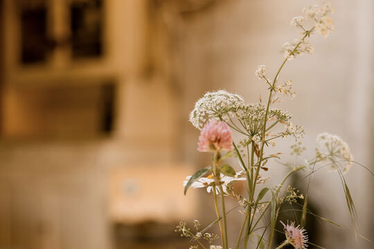 500CB088-65A0-459B-B712-5EB0E30FE670.jpeg