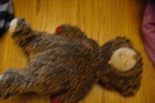 DSC05743.jpg