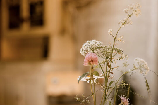 6C9B04A0-01A6-4803-9F0B-2500931A24C4.jpeg
