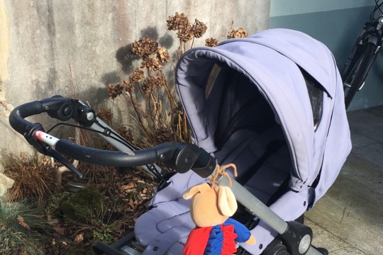 Kinderwagen Teutonia Be You