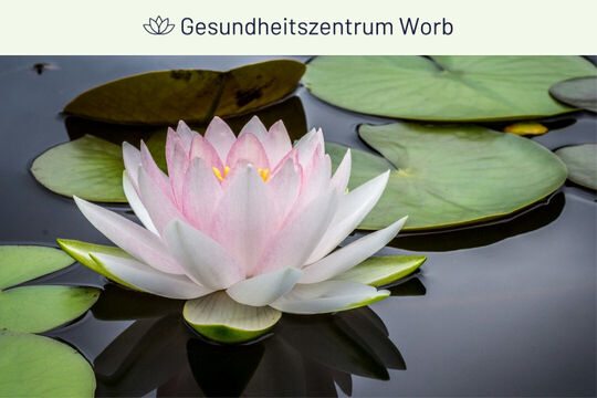 Gesundheitszentrum Worb Blume  Text-High-Quality.jpg