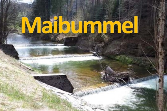 01 Maibummel 2024_Seite_1.jpg