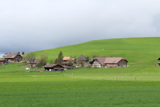 IMG_2584.jpg