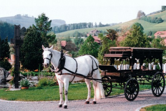 Leichenwagen.jpg