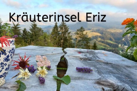 12 Kräuterinsel Eriz_Seite_1.jpg