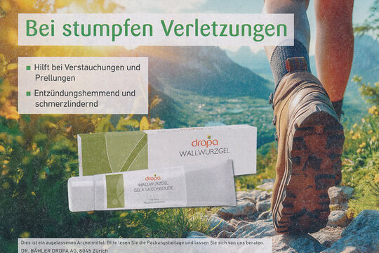 2025-10dropa WALLWURZGEL.jpg
