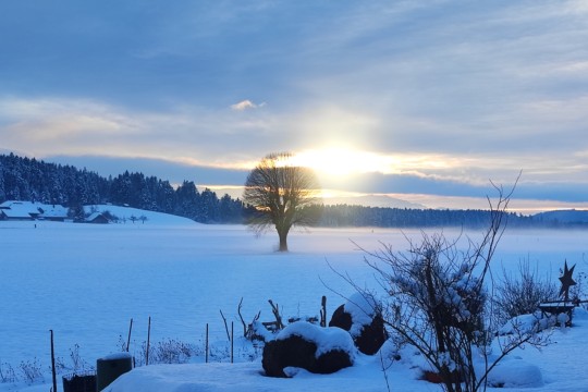 neu001