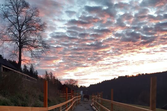 20201123_073416.jpg