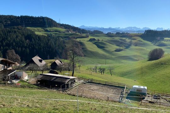 IMG-20201122-WA0004.jpg