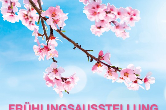 Ausstellung 19.jpg