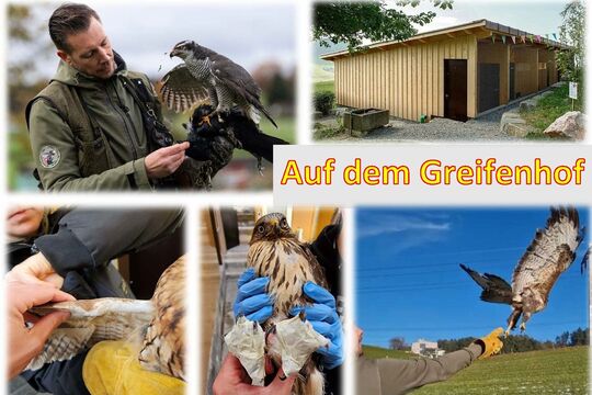 Programm angebote 60 plus 2026_Seite_19.jpg