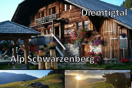 Programm angebote 60 plus 2026_Seite_23.jpg