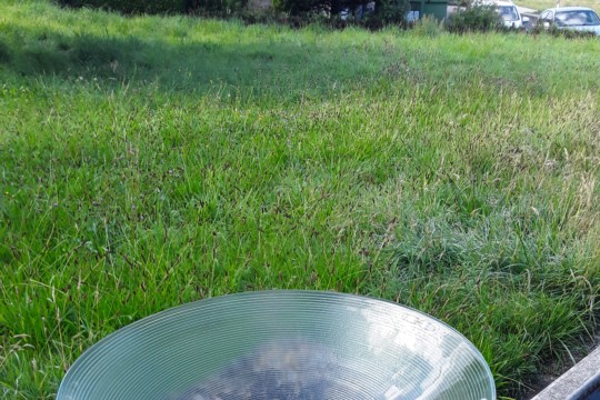 20200818_092809.jpg