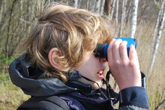 Birder-pix.jpg