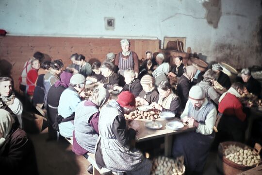 Wohn- und Pflegeheim Utzigen Kartoffelschälen