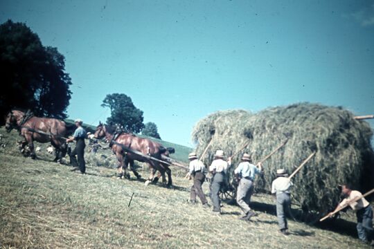 Wohn- und Pflegeheim Utzigen früher heuen