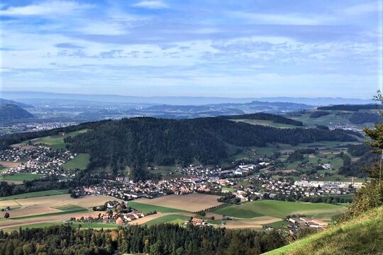 Oberdiessbach Falken