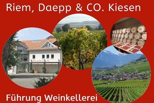 Programm angebote 60 plus 2026_Seite_37.jpg