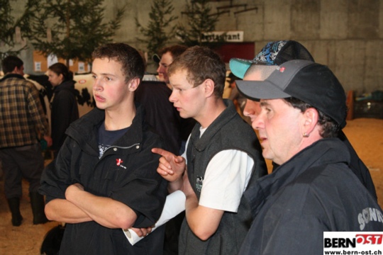 0724d760dd5346eaadba12ef6decc79a.jpg