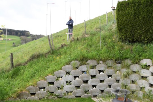 Blick vom Garten