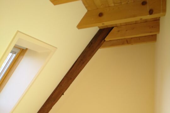 IMG_20240528_180955.jpg