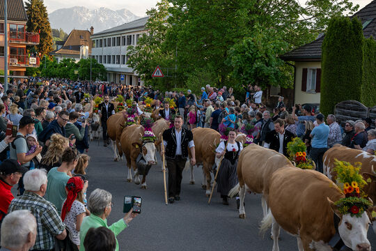 ERS_2170-Kopie