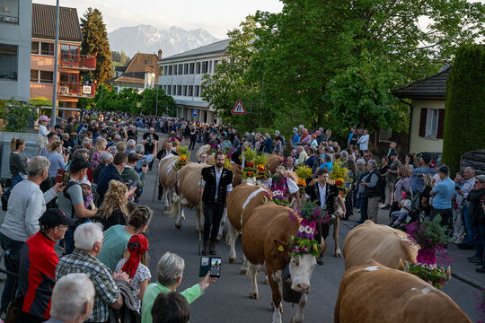 ERS_2172-Kopie