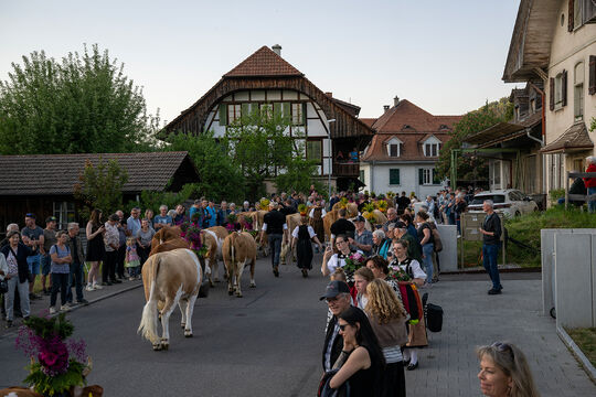 ERS_2178-Kopie