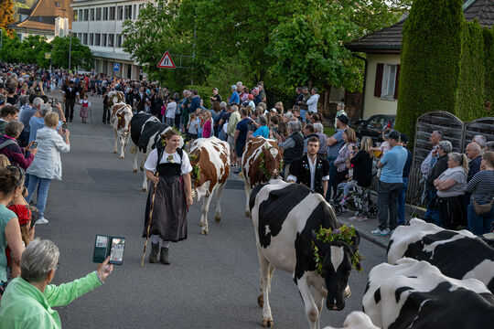 ERS_2202-Kopie