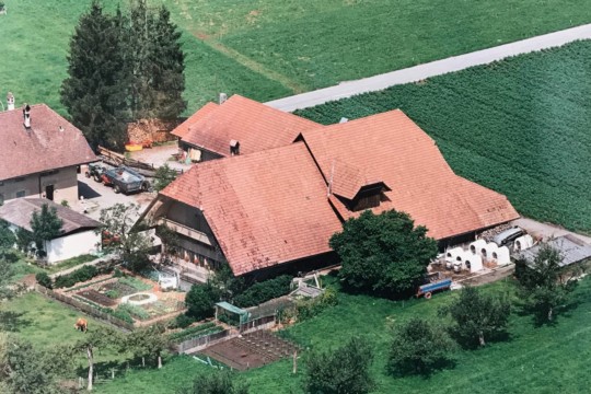 Haus