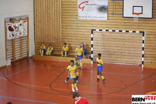 08d38cc170131d457170944fe9caa1e6.jpg
