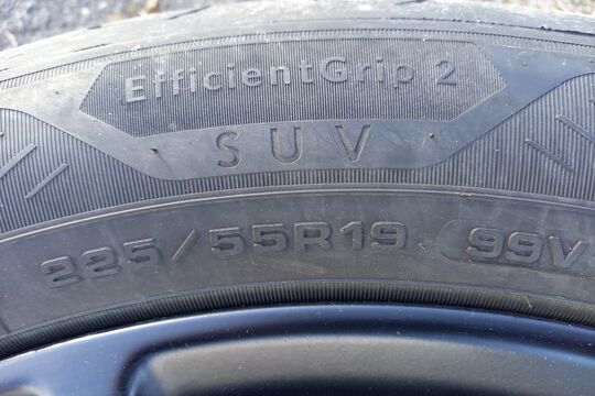 20250310_154521.jpg