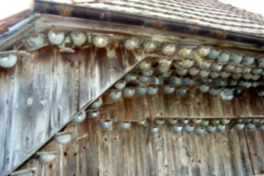 0976081a03a8f3beccb0c028258112e9.jpg