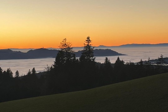 IMG-20231219-WA0000