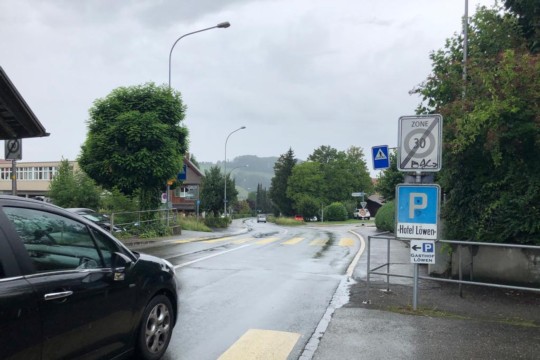 Löwenkreuzung