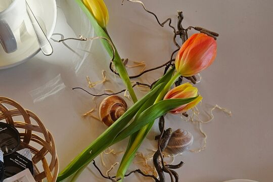 20250306_104026 (1).jpg