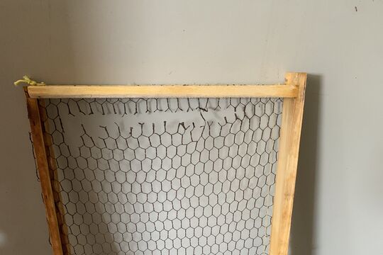 IMG_1064.jpeg