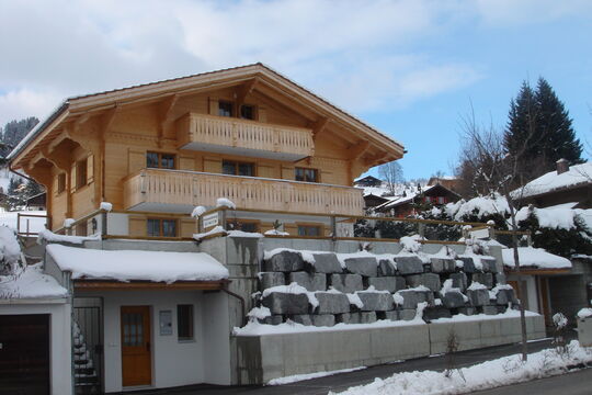 DSC01234.jpg