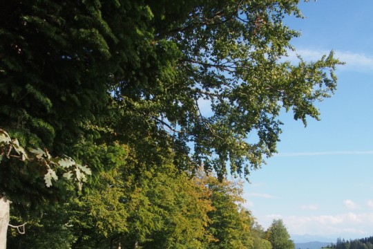 P1010094