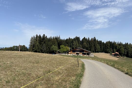Hammeggtag_2026_1