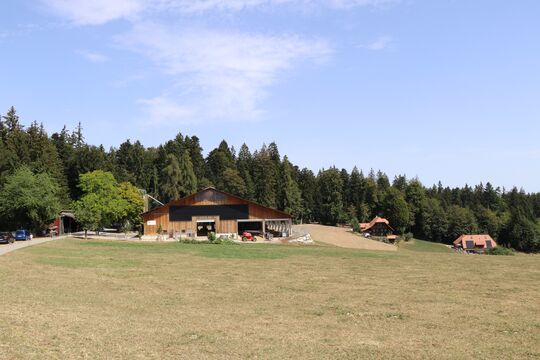 Hammeggtag_2026_64