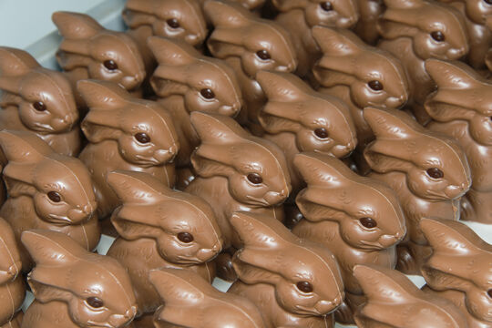 20130320_115748_DSC6360.jpg