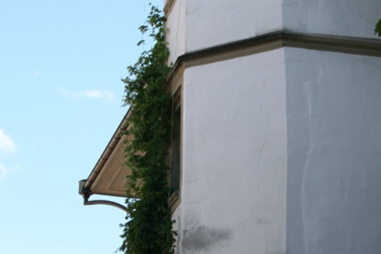 0be2b0648035f1729aad936af106795e.jpg