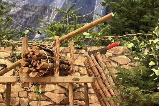 Foto 17.01.26, 20 55 08