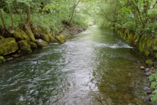 0dbd4d064612581f6e3d32caa38d28b2.jpg