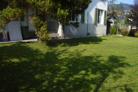 0df49f240caa1580e6687299d9462f54.jpg