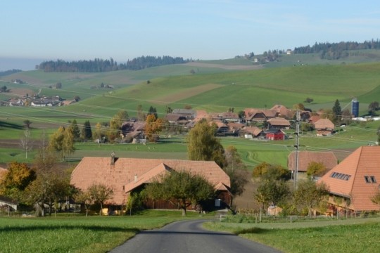 image_000000