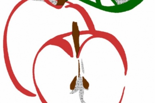 0e5a9f28a1cfc5e8f41053db34d67d42.jpg