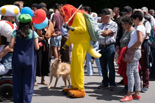 20230702-DSC05769